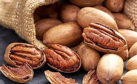 What Can You Substitute for Sun-Dried Tomatoes? 10 Options