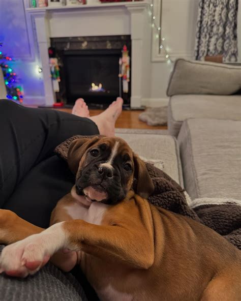 Kaitlyn | Kaitie Cali is officially in Cali 🤪 ( shout out to my older