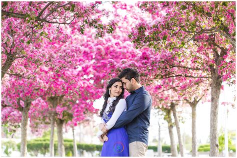 Naureen & Ridwan | Toronto Engagement Photography | Cherry Blossoms ...