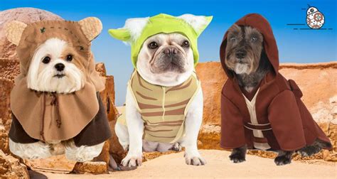 19 Best Star Wars Dog Costumes for Halloween.