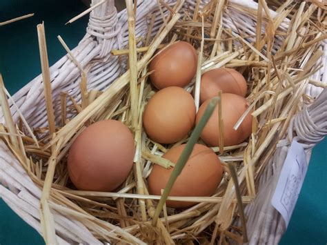 Die energetische Bedeutung von Eiern und Ei-Formen