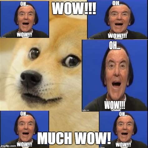 wow doge Memes - Imgflip