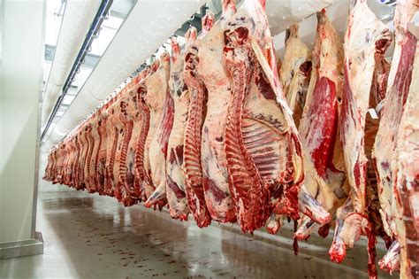 USDA Looking To Modernize Beef Process