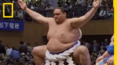 Worlds Fattest Sumo Wrestler