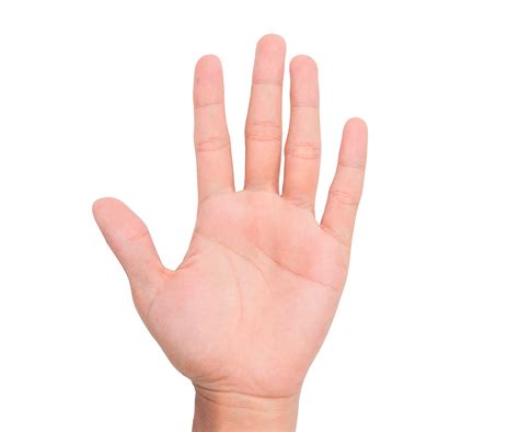 fingers