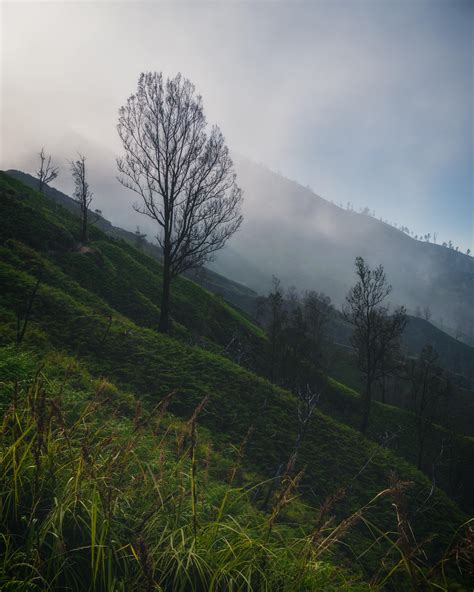 333 best Java Indonesia images on Pholder | Earth Porn, Nature Is