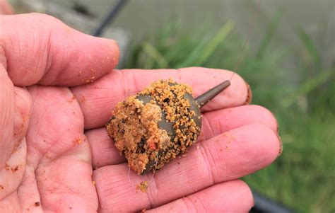 pellet feeder fish fly