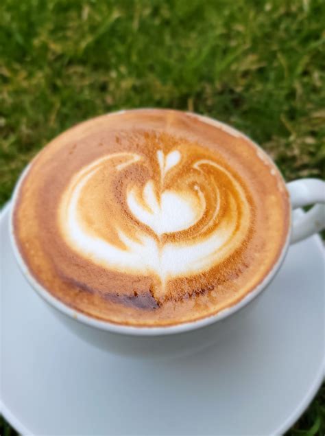 Ancestor Coffeehouse and Crêperie - Home