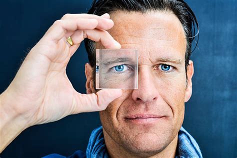 glass stock  pictures royalty