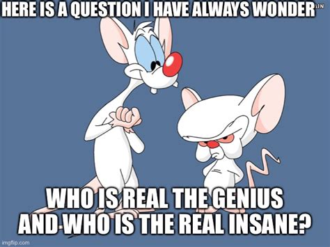 Pinky and the brain who is who? - Imgflip
