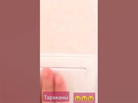 та тараканы бешеные - YouTube