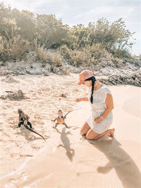 Top 10 Things to do in the Bahamas for the ULTIMATE Vacation | 2023