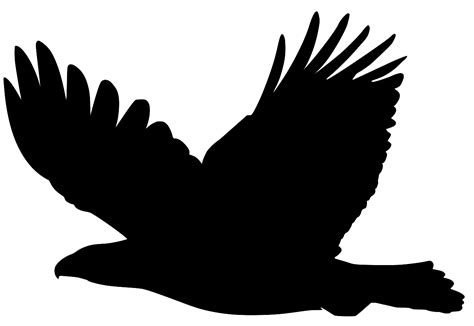 SVG > 새 야생 그림 독수리 - 무료 SVG 이미지 및 아이콘. | SVG Silh