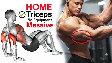 تمارين الترايسبس بدون معدات وفي المنزل | Triceps Exercises at Home ...