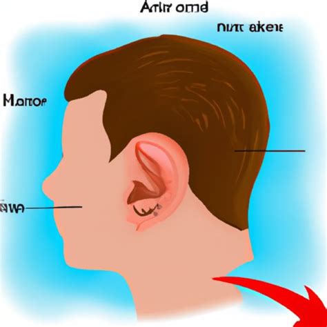 healthy eardrums    overview  anatomy