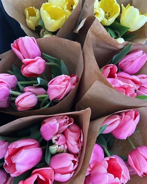 NICOLE SCOTT FASHION (@nicolescott_inc) • Instagram photos and videos