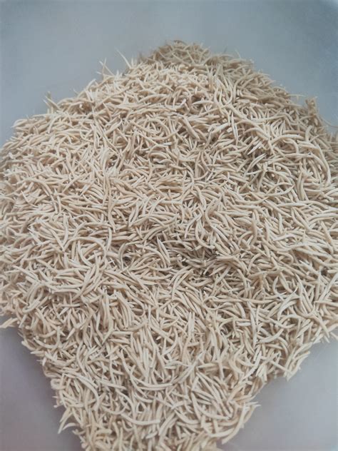 Peach Martina - Peach Martina added a new photo.