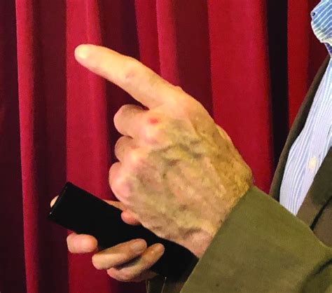 deictic gesture pointing  scientific diagram