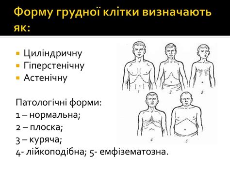 Фізичний розвиток людини - презентация онлайн
