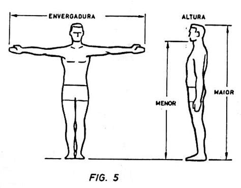 A Estatura Refere-se A Dimensão Linear De Uma Pessoa - O que você precisa saber em antropometria: FORMAS DE AVALIAÇÃO