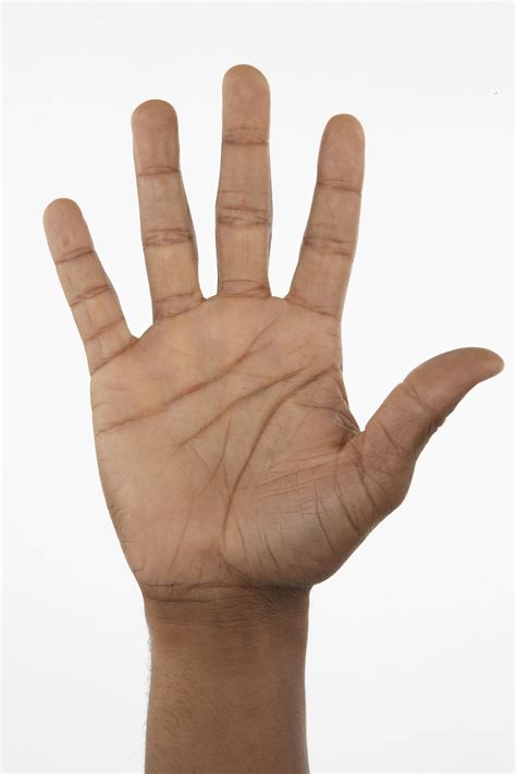notes robot hand gesture control grnonline