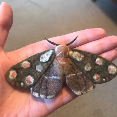 Needle Felted, Moth Art, Winged Insect,brooch, Insect Lover Gift ...