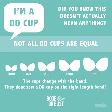 Breast Cup Size Pictures