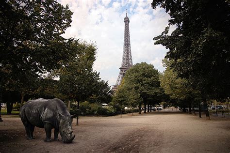 PARIS ZOO on Behance