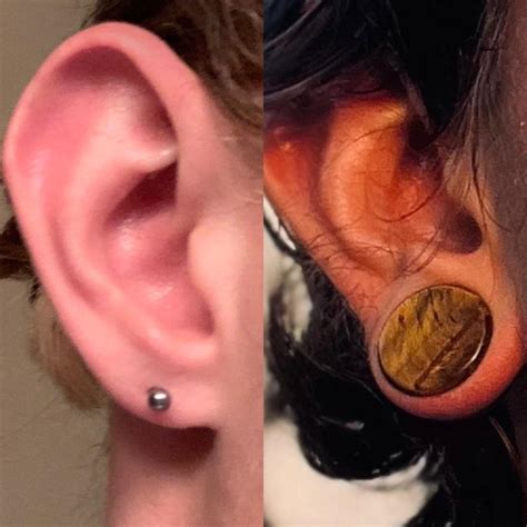 ear stretching progress rstretched