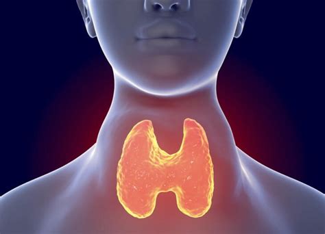 sanatorio allende especialistas en el cuidado de tu vida