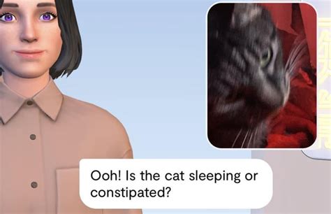 is the cat sleeping or constipated : r/replika