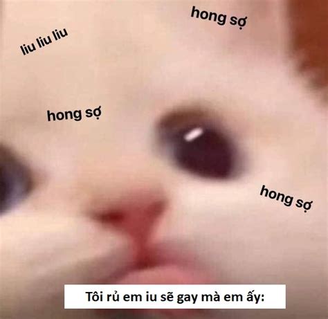+313 Ảnh Sẽ Gầy Meme Những Hình Ảnh Độc Đáo Gây Bão Mạng Xã Hội
