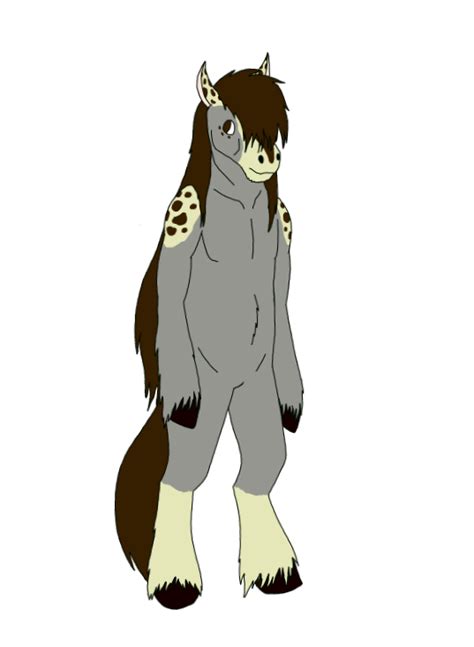 Horse fursona by Blackappi on DeviantArt