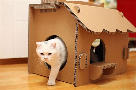 Когтеточка для кошки своими руками из картонной коробки
