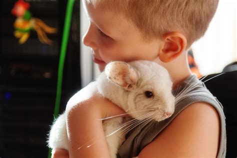 Low Maintenance Pets For Kids Pets Aren't Limited To Furry Creatures Or ...