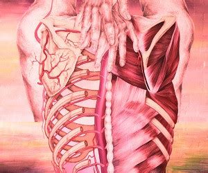 Очищение организма: детокс-завтрак - health info