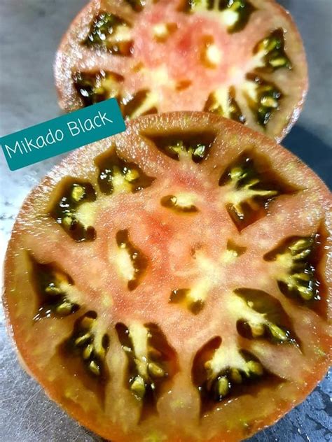Mikado Black - Bienes-Seeds