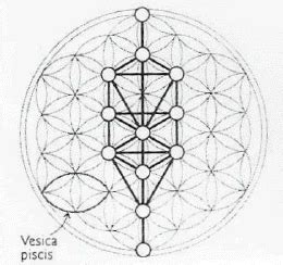 Vesica pisces - The Awakened State | The Universe is Inside of You