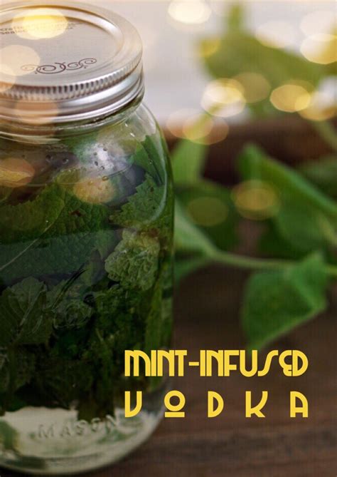 Mint-Infused Vodka - Wet Whistle