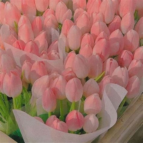 Pinterest ~ @l0nelysoull | Flower aesthetic, Tulips flowers, Pretty flowers