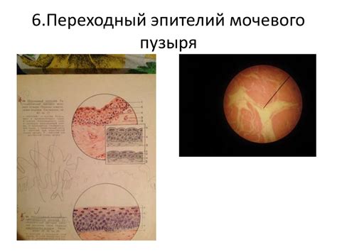Диагностика - презентация онлайн
