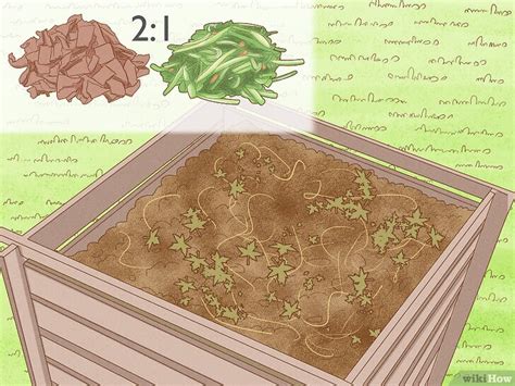 compost pit  guide  backyard gardening