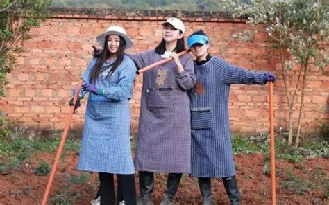 ru nhau ve  tin tuc moi nhat xu huong  ngay lam viec  pho  ngay