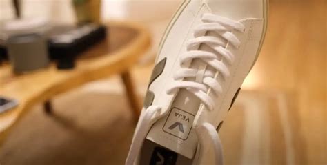 Why are Veja sneakers so popular? - Footwear Frenzy