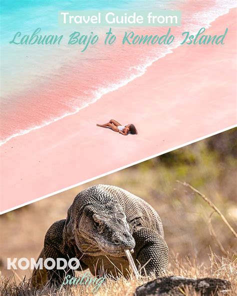 labuan bajo to komodo island - Flores Komodo Packages, Bali Komodo Dragon Tour, Rinca Padar ...