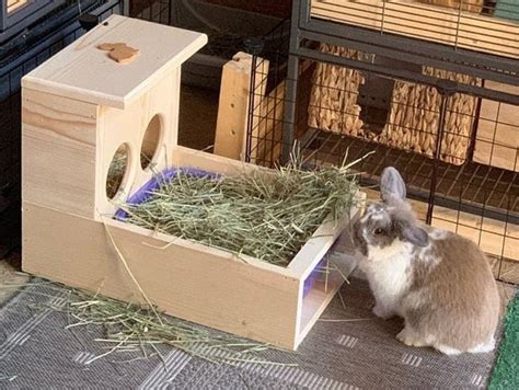 Rabbit Hay Feeder With Litter Box - Etsy