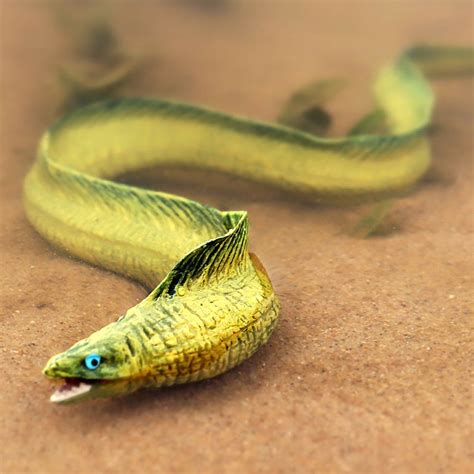 Simulation Sealife Electric Eel Figurines Moray Eel Model Marine ...