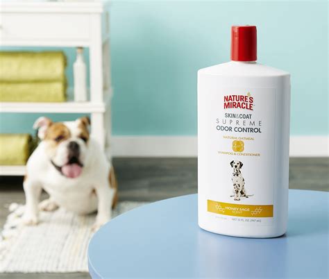 Best Dog Shampoo For Odor 2020 Review : Heel Boy Heel