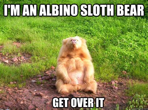 I'm an albino sloth bear Get over it - AlbinoSlothBearMeme - quickmeme