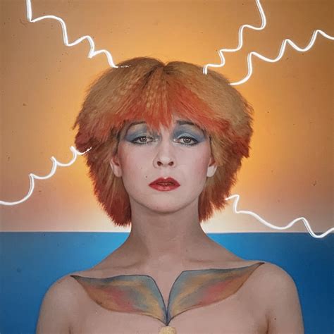 Toyah Willcox Hair
